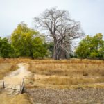 Cuanto cuesta desbrozar un terreno